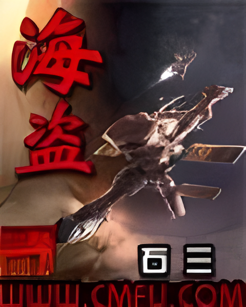 海盗   作者：石三海盗   作者：石三-知轩藏书