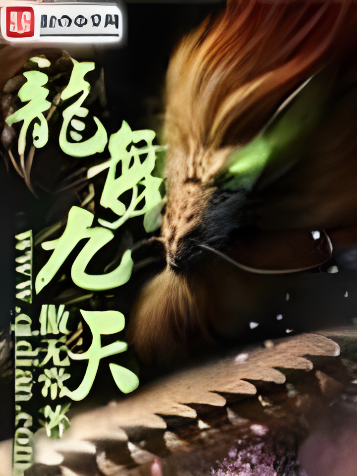 龙舞九天   作者：傲无常龙舞九天   作者：傲无常-知轩藏书